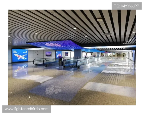 开云真人最全的地点指南以及周边配套设施介绍